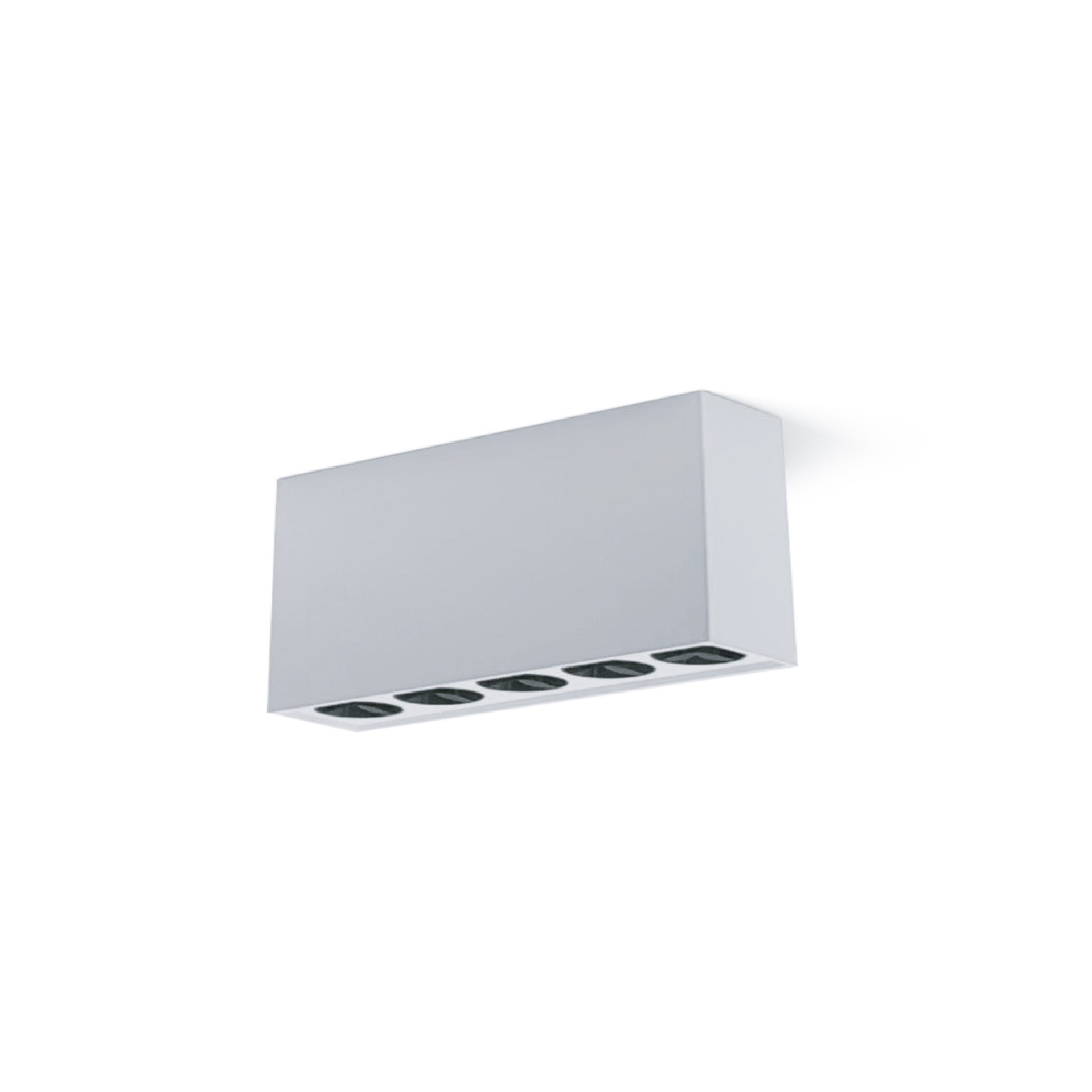 Bledmax - Image 2